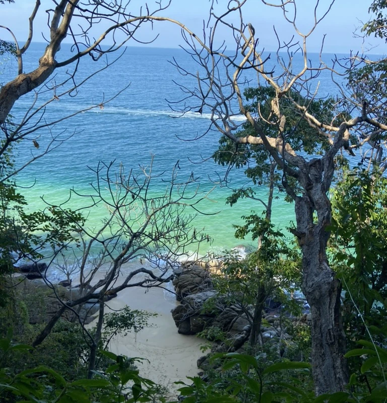 4. Côte pacifique