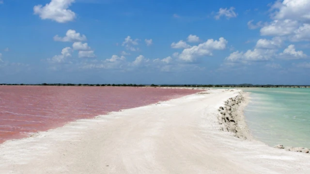 Rio lagartos - Yucatan