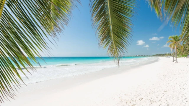 Plage à Tulum - Mexique