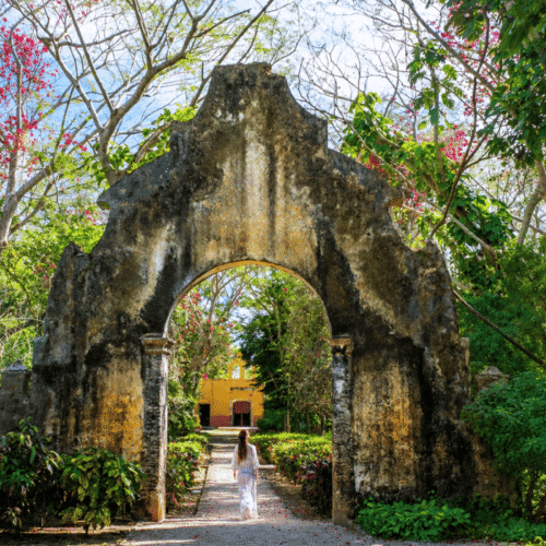 Yucatán authentique : voyage au cœur des haciendas, sites mayas et cenotes