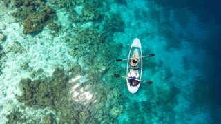 Charte fournisseur Terra Maya : partenaires et tourisme au Mexique