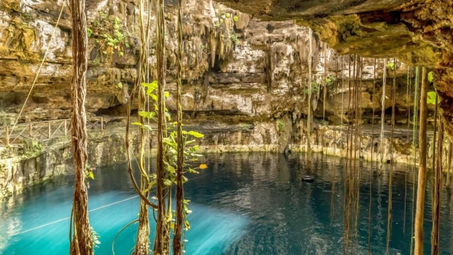 Cénote dans la péninsule du Yucatan - Mexique