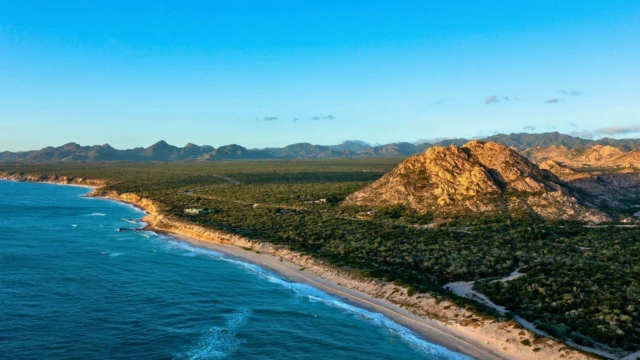 plage à cabo pulmo
