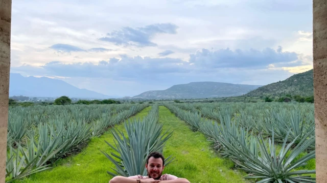 Adelind Chambrier directeur de Terra Maya à Oaxaca