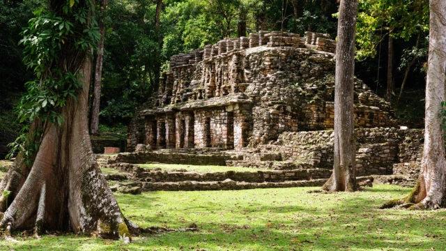 Yaxchilan ruines maya Chiapas au Mexique