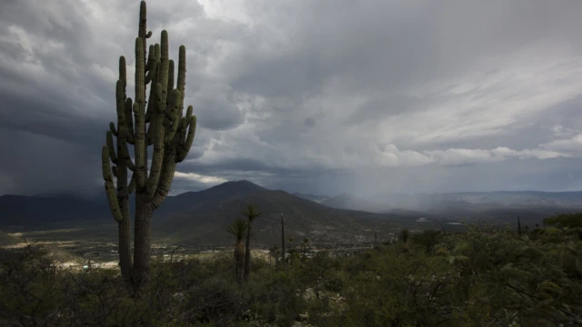 Tehuacán , Puebla