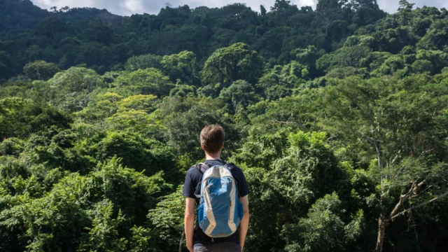 Voyageur dans la jungle au Chiapas, Mexique