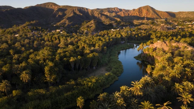 que faire que visiter voyage basse californie mexique