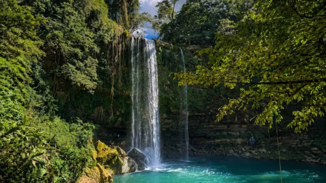 Cascade de Misol-ha, Chiapas - Mexique