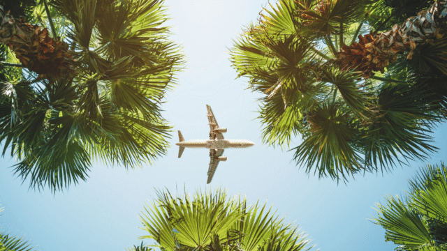 Avion