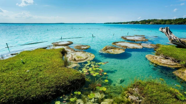 Bacalar 2