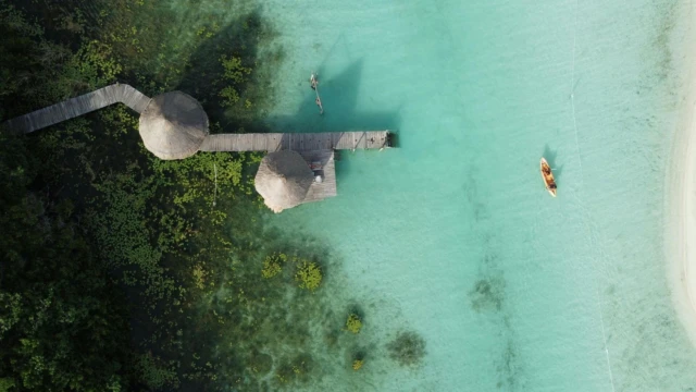 Bacalar