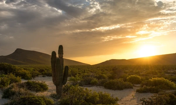 que faire que visiter voyage basse californie mexique