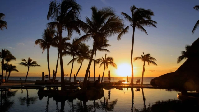 que faire que visiter voyage basse californie mexique
