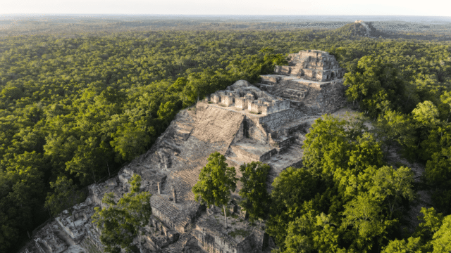 Calakmul - Mexique