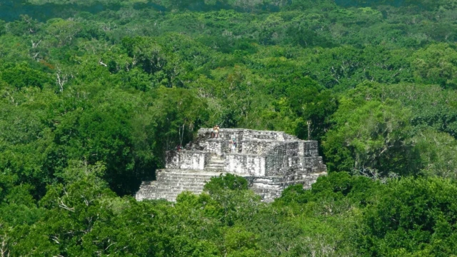 site archéologique de Calakmul - Mexique