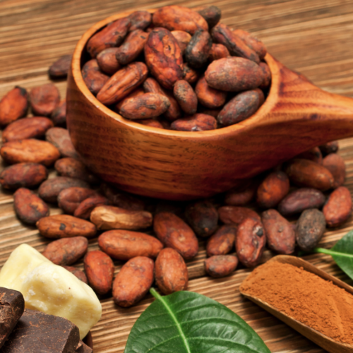 Cacao Mexicano : un voyage sensoriel au pays du chocolat