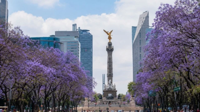 Mexico City
