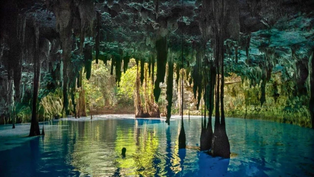 Cenote San Juan - Yucatan