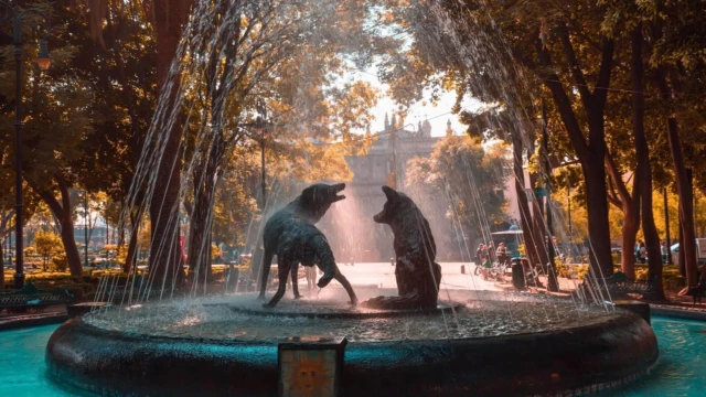 Plaza central - Coyoacan
