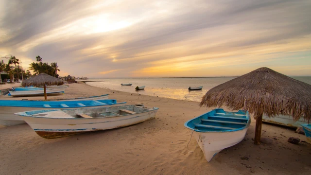 que faire que visiter voyage basse californie mexique