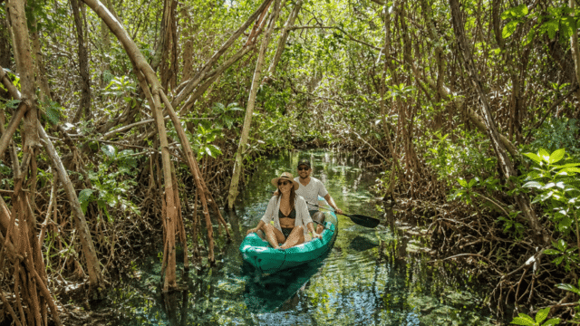 Ojo de agua - Yucatan
