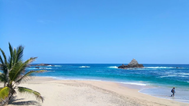 Plage à San Agustinillo - Oaxaca