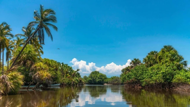 lagune la ventanilla à Oaxaca
